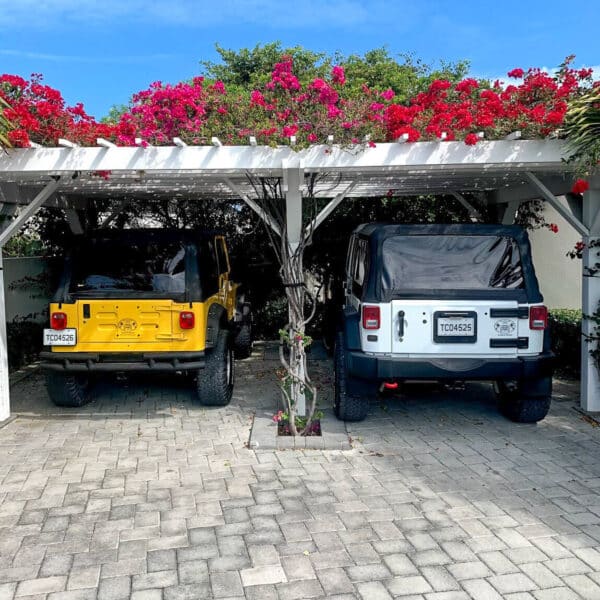 soft top jeeps parked under a pergola