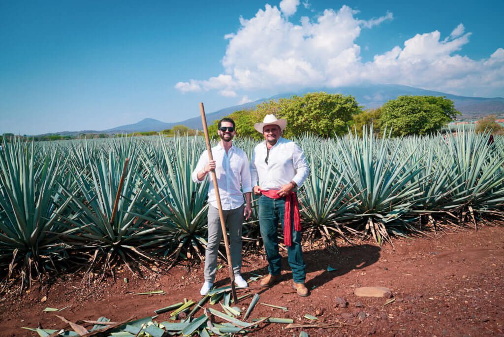 Two men standing in front of an agave field in Mexico